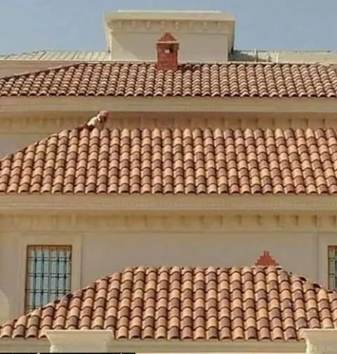 حداد مضلات وسواتر وجميع أنوع الحدادة